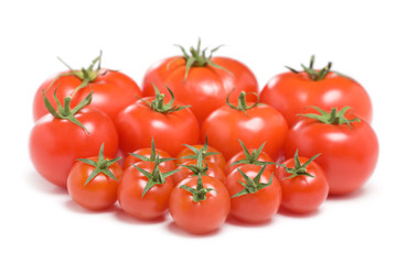 Group of tomatoes-23