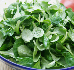 feldsalat