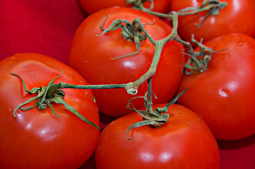 red tomatoes