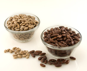 Bowl of Beans