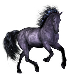 Obraz na płótnie Canvas Beautiful Horse