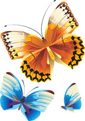 butterflies