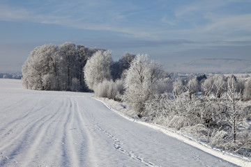 Obraz premium Fairy tale scenery