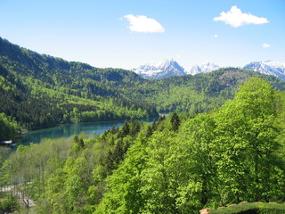 Bergfrühling