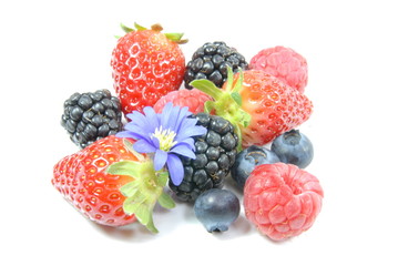 Frutti di bosco con fiore viola