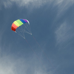 Kite