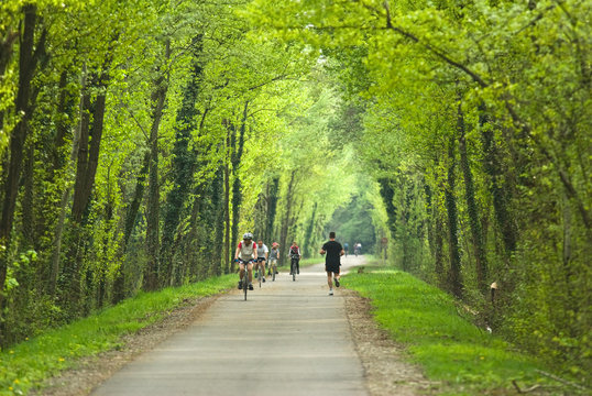 sport de printemps