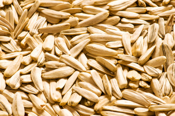 Lots of sunflower seeds arranged as background