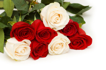 Red and white roses isolated on white
