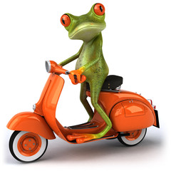 Grenouille en scooter © Julien Tromeur