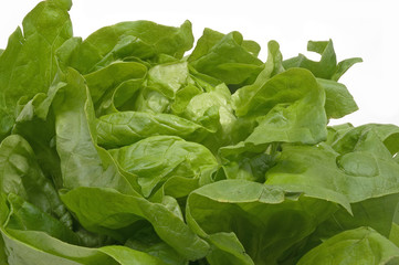 Kopfsalat