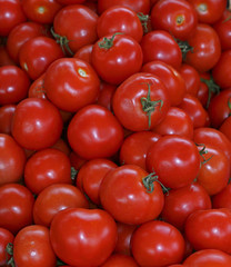 Tomaten