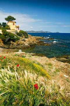 Paysage c&ocirc;tier