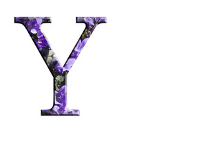 Letter Y from the alphabet in flowers campanula