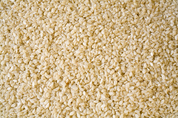 Sesame Seeds