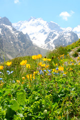 Green field and white clouds