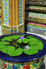 Water Lily and Ornamental Mosaic Wall