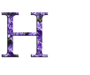 Letter H from the alphabet in flowers campanula