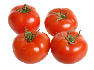 Fresh tomatoes isolated on white background