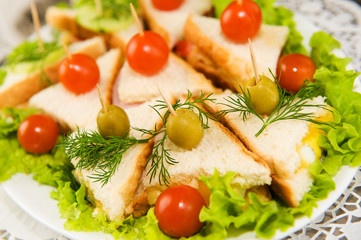 Eating on the run. Fresh and tasty home-made canape sandwiches