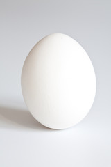 hen's white egg on white background