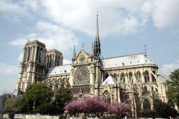 Fototapeta na wymiar Notre Dame vue de côté, Paris