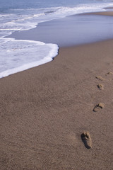 foot on beach