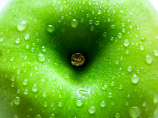 Closeup of a wet green apple