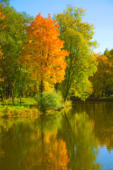 Fototapeta premium autumn landscape