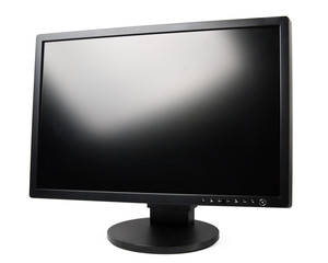 LCD monitor