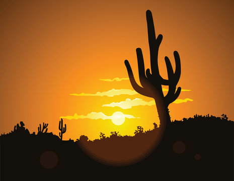 The sun sets behind a hill silhouetting the tall desert cactus.