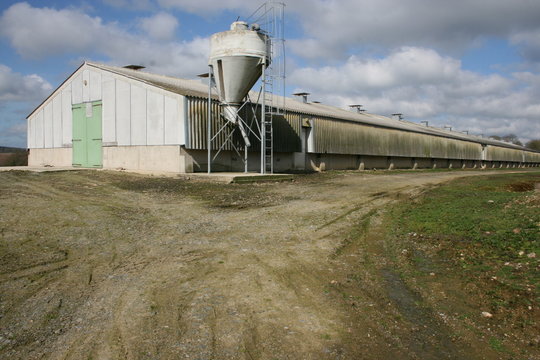 Elevage industriel de volailles - C&ocirc;tes d'Armor (Bretagne)