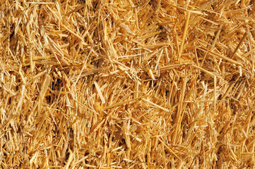 Bale of Straw