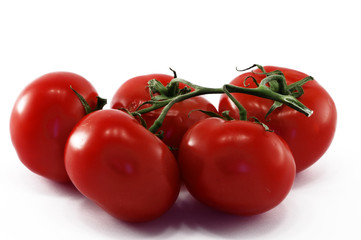 tomato