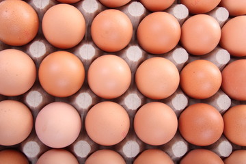 fresh eggs packed into cardboard container