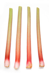 Rhubarb  isolated on a white studio background.