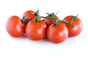 tomatoes