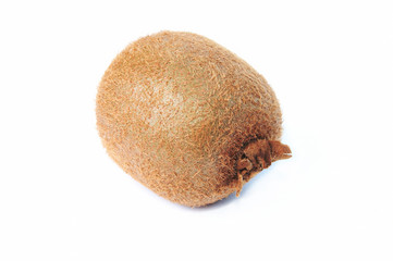 the kiwi isolated on white background