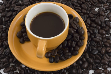 coffee mania