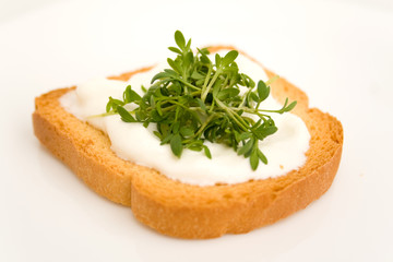 Zwieback mit Gartenkresse