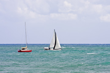 Red and White Sailboats