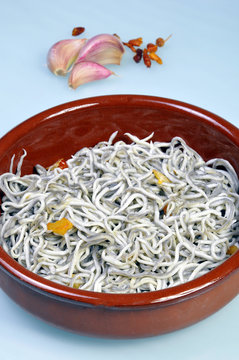 angulas