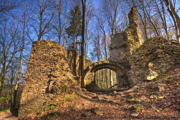 castle ruins in the forest
