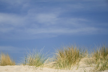 D&uuml;nenlandschaft