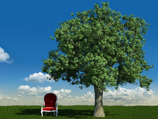 armchair and tree in the meadows