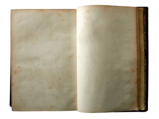 Aged old open blank copy space book