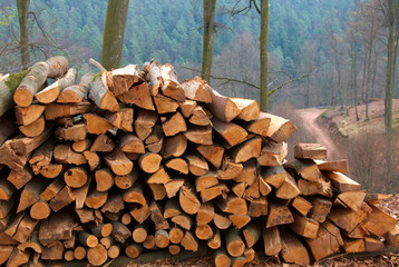 bois de chauffage entassé