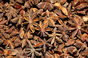 Sternanis