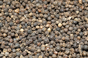 Schwarzer Pfeffer