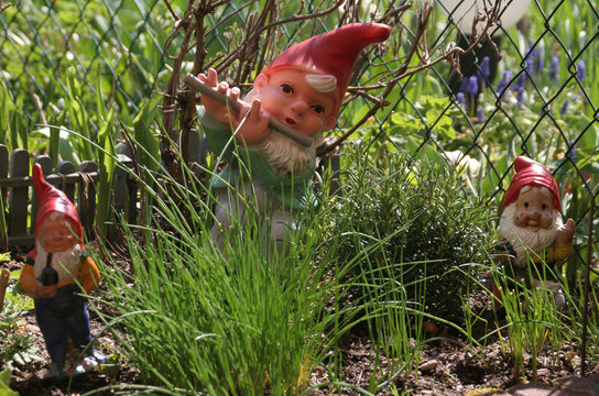 Gartenzwerge
